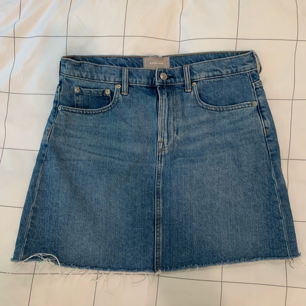 Everlane Blue Denim Mini Skirt